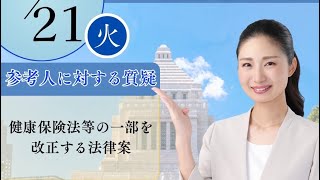 2026.4.21.国民民主党日野紗里亜衆議院の厚労委員会参考人質疑