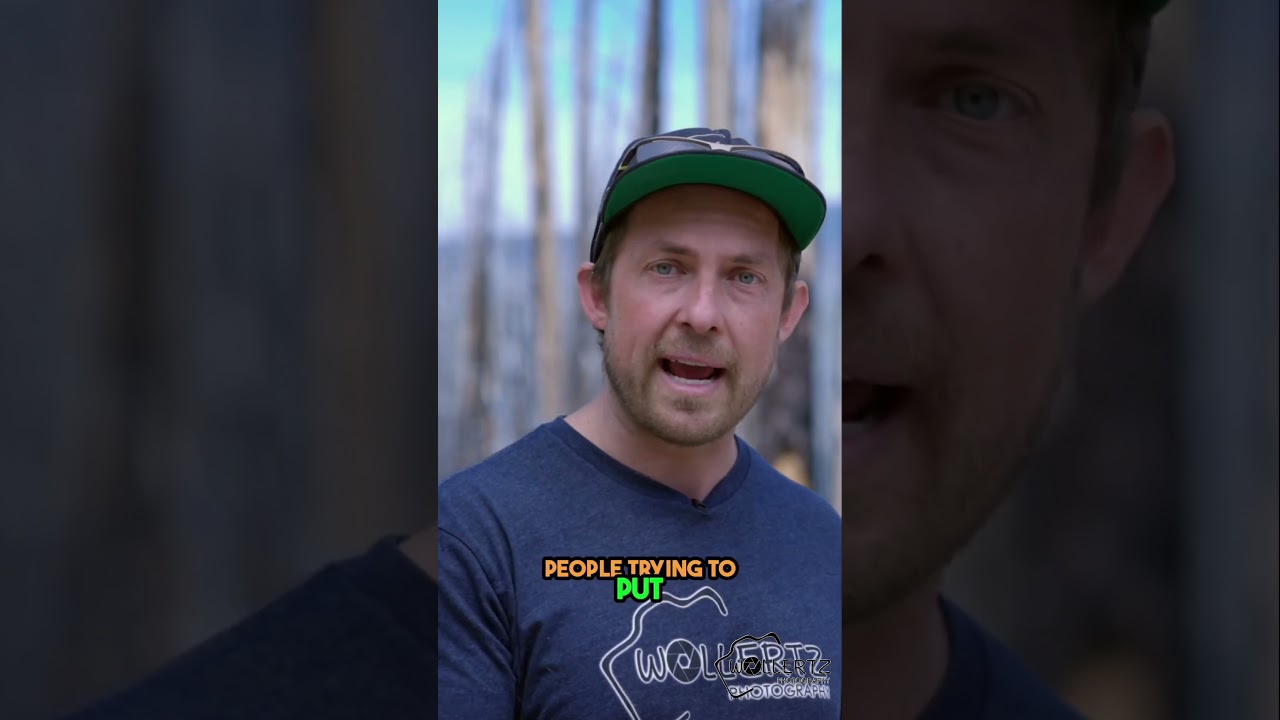 Forest fire photo opp #photography #stockphotographer #stockphotos