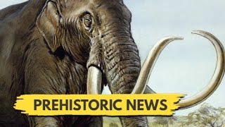 New Weird Mammoth Named Larry is Puzzling Scientists | Prehistoric News