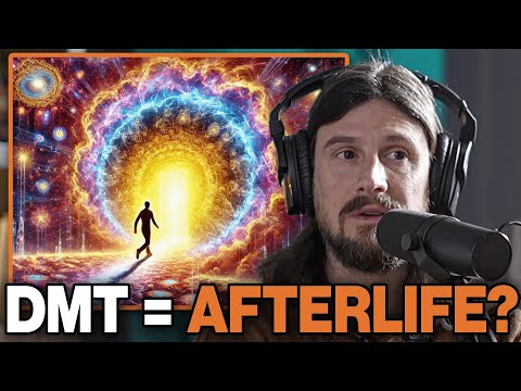 Visiting the Afterlife: New Data Shows DMT is the "Death Realm" | Zoltan Bathory & Danny Goler