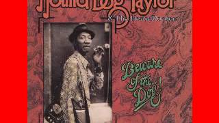 Hound Dog Taylor - Beware Of The Dog (Live) - 1974 - Freddie&#39;s Blues -  Dimitris Lesini Blues