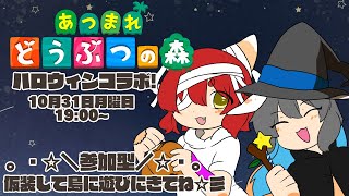 【あつ森】こまりさんとみんなとハッピーハロウィン！