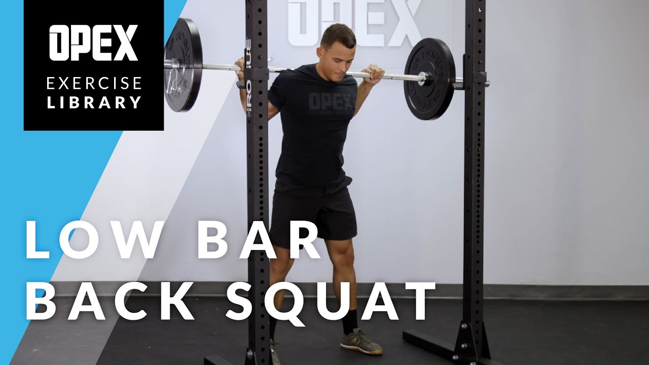 Low Bar Back Squat