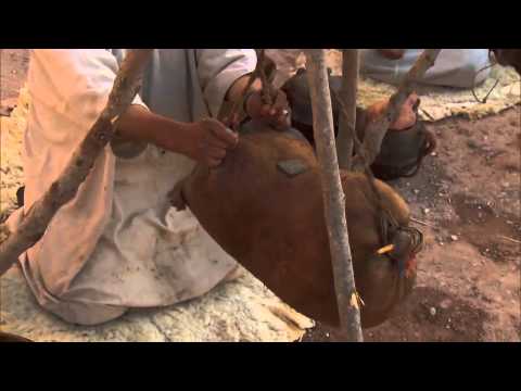 The Amazing Race / Poto and Cabengo