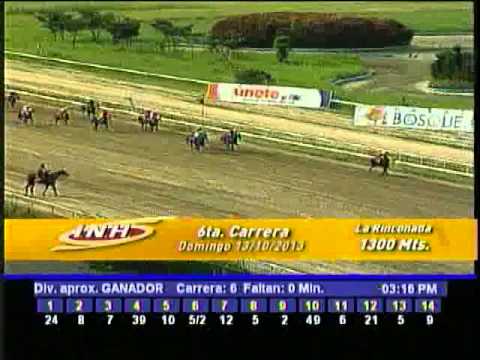 Resumen Domingo, 13 de Octubre de 2013 - La Rinconada