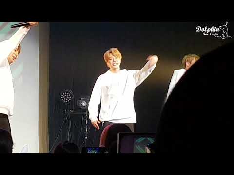 빅플로(Bigflo)도쿄 콘서트