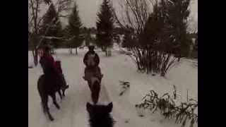 preview picture of video 'Icelandic horse riding in IVO'