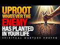 Midnight Prayer For Total Breakthrough Uproot Whatever The Enemy Has Planted In Your Life
