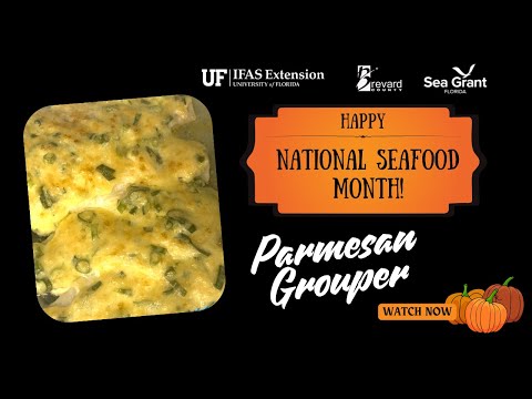 Baked Parmesan Grouper | National Seafood Month Recipe