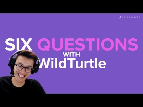 Six Questions with WildTurtle