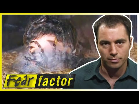 CELEBRITY Fear Factor! 🌟| Fear Factor US | S02 E01 | Full Episodes | Thrill Zone