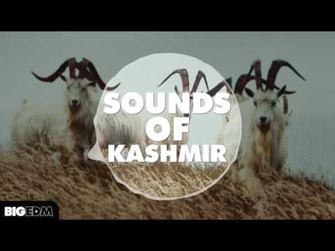 Sounds Of Kashmir [8 KSHMR / Headhunterz Style Kits, 100+ Melodies, Serum & Sylenth1 Presets]