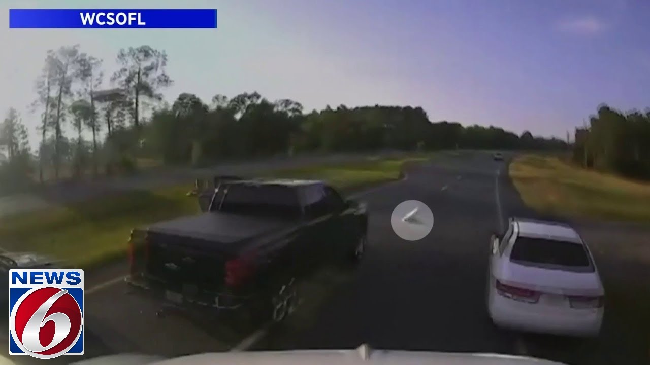 Semitruck slams into cars after driver stops for turtle in Florida road