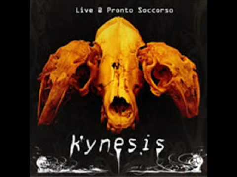 KYNESIS53.wmv