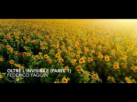Oltre l'invisibile (parte 1) di Federico Faggin
