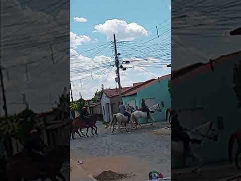 #cavalga de cavalos em mimha cidade ibotirama Bahia