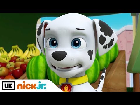 Paw Patrol | Meet: Marshall! | Nick Jr. UK