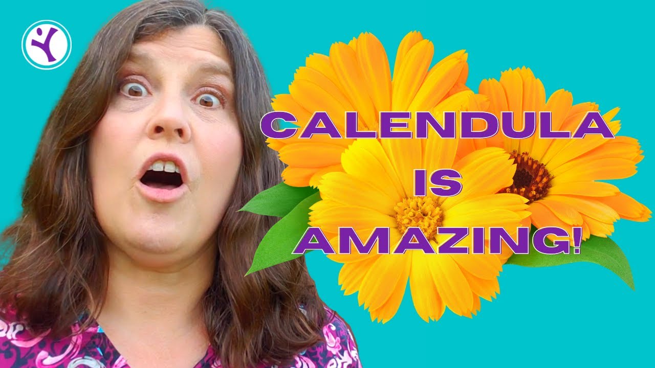 CALENDULA benefits: Building your Herbal Medicine Kit
