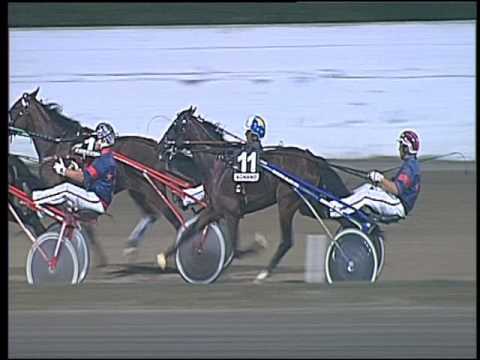 Trotto 04/09/2016 - 7° corsa