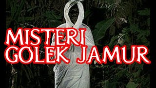 Download lagu 🔴 MISTERI GOLEK JAMUR mp3