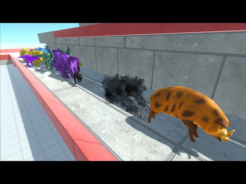 All Unit Chase the Gold PIG #9 - Animal Revolt Battle Simulator
