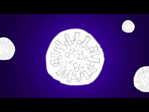 COVID19 PARODY of Powfu - death bed (coffee for your head) ft. beabadoobee