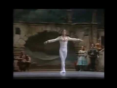 SOLO MALE ADULT |  Don Quixote Act 3 | Basil variation