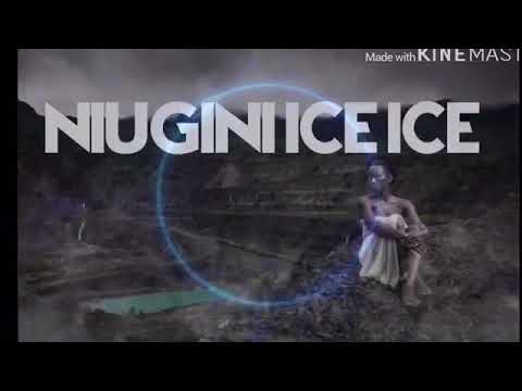 Dj Smoke ft Taylor Swift - Love story (Smoke Style 2020 ) niugini Ice