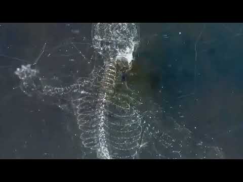 Attila Nator  - Deep-Tech-Minimal Mix 2022/12 #deeptech #deeptechminimal #rominimal