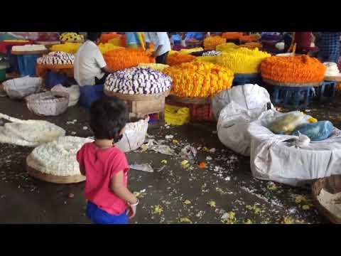 Bangalore flower market 🌺🌹🌻💐#shorts#srinidhi papa