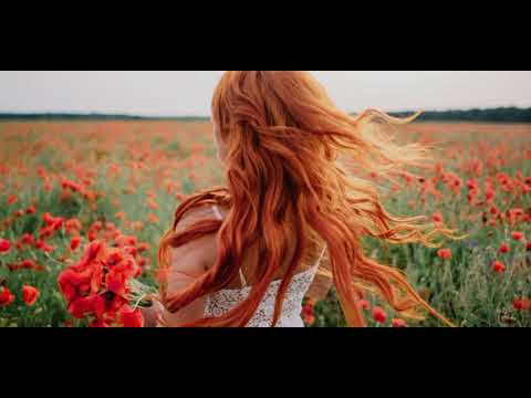 LETRA - JDS - Mireyli Rosa