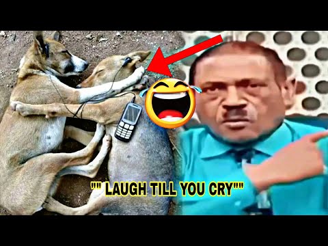 EXTREME FUNNY VIDEOS IN THE WORLD | TRY NOT TO LAUGH | LATEST FUNNY VIDEOS 2025/26 - PART 4