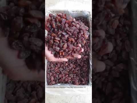 Brown fresh malayar raisins, packaging type: box, packaging ...