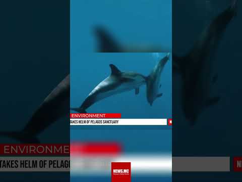 Monaco's Commitment: Protecting Marine Life in the Mediterranean! #shorts