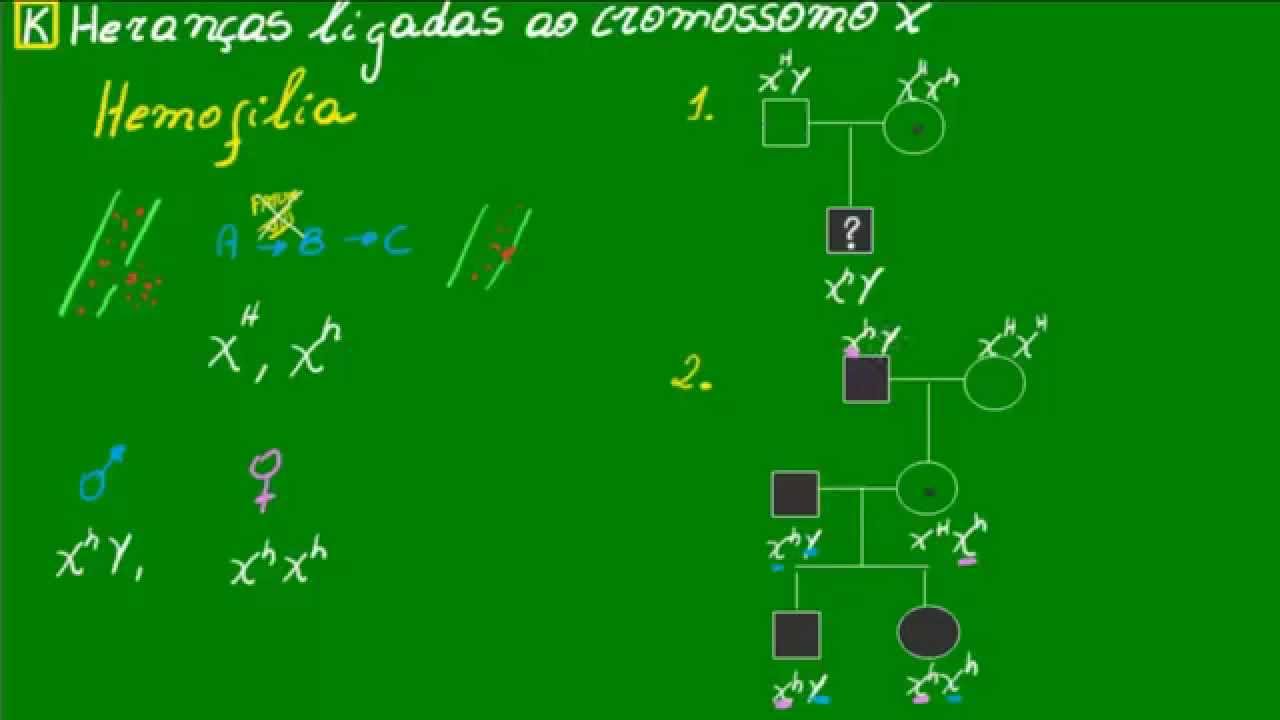 Hemofilia - Genética - Biologia