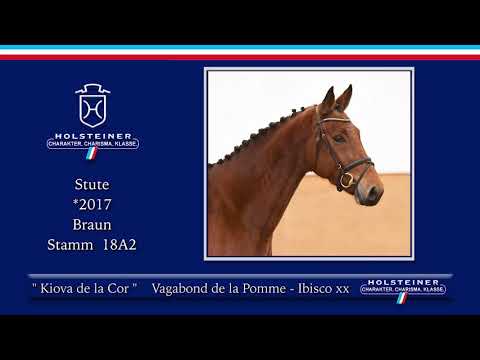 3. Holsteiner Winter-Chance 2021 | Nr. 06 Kiova de la Cor