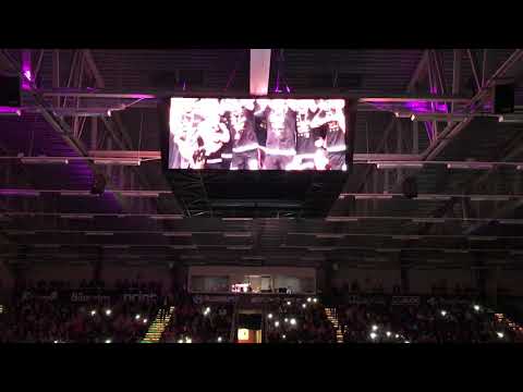 IBF Falun Intro 2018