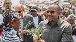 Mo'aa: Kamisa Galgalaa (Gurraandhala 19. 2026) Finfinnee