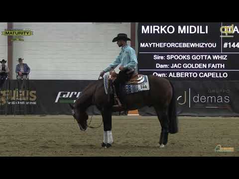 Maturity 2021 - MIRKO MIDILI & MAYTHEFORCEBEWHIZYOU score 226