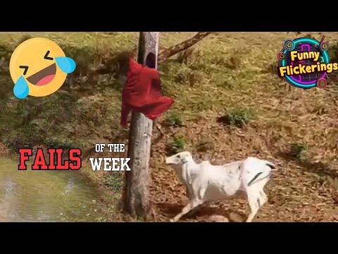 Hilarious Fails Compilation ep 37 : Best Funny Fails of Week | Funny Fails 2024!