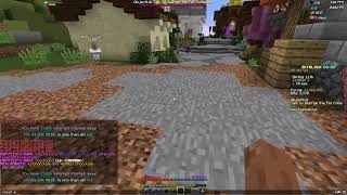 Hypixel Skyblock Road to 100b networth