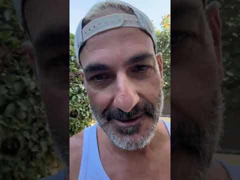 המלצה 1