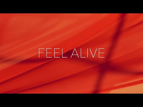 David M - Feel Alive (Official Video)