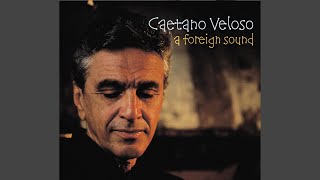 [Nothing but] Flowers