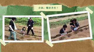 動画のサムネイル