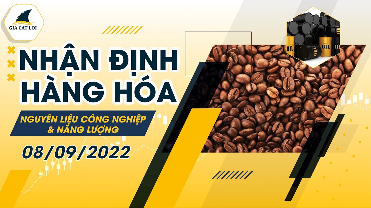 Nhận Định Thị Trường Năng Lượng & Nguyên Liệu Công Nghiệp Ngày 08/09/2022