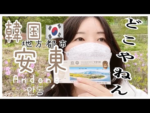 Coreia Ryoko⑰KOR/ENG Viagem individual pela Coreia❗️De Daegu até passeios turísticos do patrimônio mundial em cidades locais de ônibus intermunicipal e táxi❗️🚌🚕Como viajar para Andong Hahoe Village🐹
