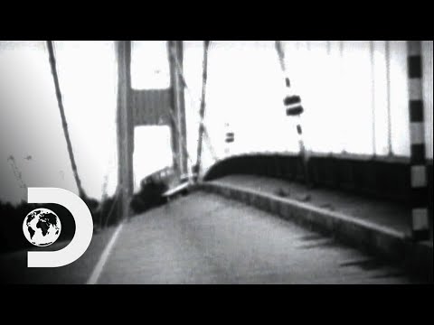 Only Casualty In Massive Bridge Collapse Is A Pet Dog | Disasters Engineers