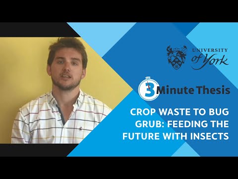 Crop waste to bug grub: feeding the future with insects