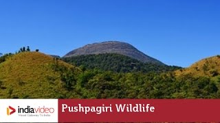 Pushpagiri Wildlife Sanctuary - A Green Destination